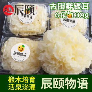 辰颐物语新鲜银耳福建古田鲜银耳6朵鲜珥木耳现摘120g/朵