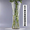 大玻璃花瓶透明特大号落地插花百合客厅干花瓶富贵竹直筒圆柱水培