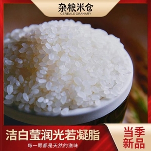 杂粮米仓大米黑龙江大米，香米圆粒米2023年当季米五2号珍珠