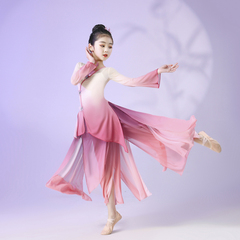 古典舞飘逸儿童中国舞演出服