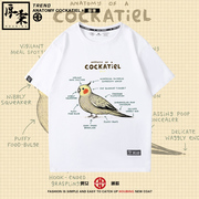 原创手绘鹦鹉解剖Anatomy Cockatiel印花潮夏天纯短袖T恤男女半袖