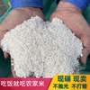 农家大米自种2023当季新米不抛光不打蜡香米现碾现磨含箱10斤散装