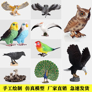 仿真飞禽鸟类动物模型，玩具实心猫头鹰老鹰鹦鹉孔雀，微景观装饰摆件
