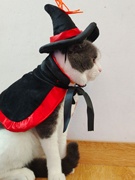 万圣节宠物猫咪小披风带帽，狗狗角色扮演装女巫巫婆蜘蛛套装