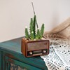 多肉花盆复古怀旧创意收音机，电视造型盆栽，八十年代老物件摆件