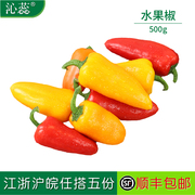 沁蕊彩椒新鲜水果椒500g 甜椒迷你小辣椒小彩椒 颜色随机