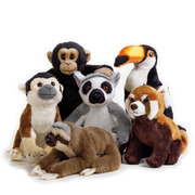 国家地理玩偶狐猴小熊猫考拉澳洲热带毛绒玩具Q考拉动物礼物公仔