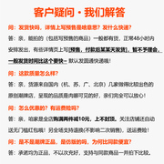 浅色秋天日系复古水洗，牛仔衬衫外套男秋季立领长袖衬衣情侣寸衣潮