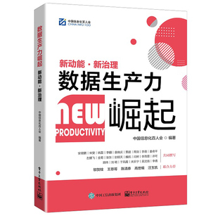 数据生产力崛起中国信息化百人会著电子社如何深度认知数据在生产关系和生产力重构中的作用，新动能(新动能)新治理(新治理)数字经济转型书