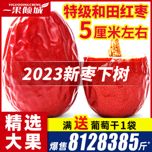 新疆红枣特级和田大枣，2023新货特大红枣，干大枣子干果特产店