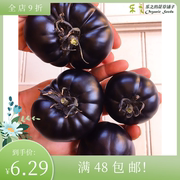 进口番茄种子 黑美人 Tomato 无限生长 盆栽香甜多汁花园沙拉水果