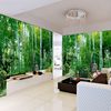 简约林绿树(林绿树)大竹子壁画客厅，8纸沙发自然3d风景背景墙壁纸大型卧室d