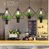 植物吊灯工业风格创意个性火锅餐厅服装店铺吧台花草绿植复古灯具