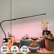 多肉补光防徒灯定时功能，夹子款上色全光谱led盆栽植物生长灯