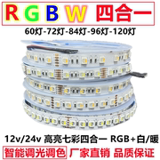 RGBW四合一灯带led高亮12v智能调光变色七彩白暖24vRGBWW防水贴片