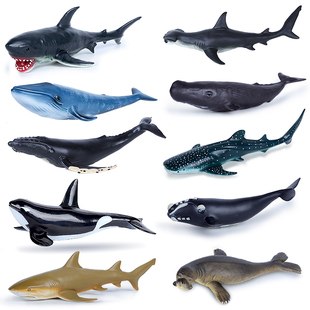 仿真软胶海洋动物世界模型蓝鲸鱼，锤头鲨鱼海龟，儿童玩具白鲸海豹豚