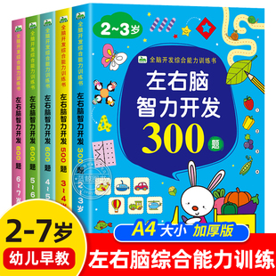 左右脑智力开发思维训练全套5册 2-3-6-7岁益智儿童全脑开发思维逻辑升级训练游戏书 小中班大班练习册幼儿园数学启蒙认知益智图书