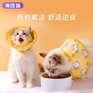 伊丽莎白圈猫绝育防舔猫咪项圈防水猫头套宠物狗狗猫猫伊利沙白圈