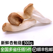 杏鲍菇500g新鲜菌菇大鸡腿菇，香蘑菇肉厚鲜嫩美味家常炒菜食材