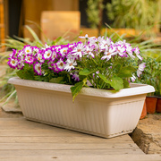 。爱丽思树脂花盆家用长方形阳台专用种菜盆种菜神器爱丽丝种植花