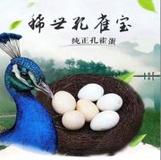 新鲜孔雀蛋(孔雀蛋)食用蛋蛋，高蛋白蛋月子，蛋6枚装礼盒
