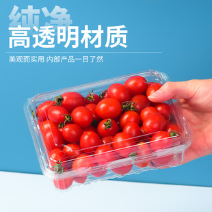 一次性带盖透明塑料水果，打包盒草莓水果，生鲜包装盒超市水果店用