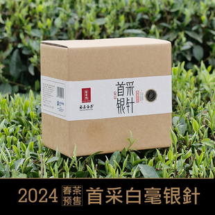 福鼎白茶白毫银针2024春茶 正宗原产核心高山产区