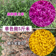 七彩糯米饭植物染料五色糯米饭团，材料纯天然染糯米广西蓝绿橙黄玫