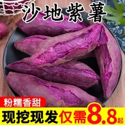 紫薯新鲜板栗红薯地瓜蜜薯番薯10斤糖心山芋香薯烟薯农家自种蔬菜