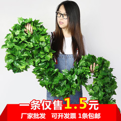 仿真葡萄叶绿藤条藤蔓植物树叶管道遮挡装饰花藤假花塑料绿叶缠绕