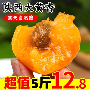 陕西金太阳(金太阳)大黄杏5斤应当季孕妇酸杏青杏子，甜杏新鲜水果整箱3