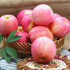 苹果水果脆甜新鲜山东烟台栖霞红富士不打蜡孕妇好吃的10斤