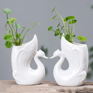 绿萝铜钱草水培花瓶陶瓷，创意个性卡通白色水养，花盆客厅桌面鲜花插