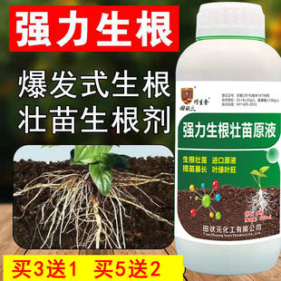 生根壮苗剂生根液果树蔬菜花卉移栽育苗强力发根壮根提苗剂叶面肥