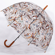 个性创意可爱透明伞阿波罗伞，花鸟蝴蝶长柄伞，雨伞蘑菇道具女公主伞
