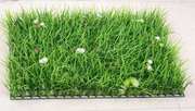 绿色垫子室内草皮假草地毯草坪绿色式家用草地毯地垫草人造用