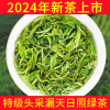 日照绿茶2024年新茶特级早春茶叶，正宗板栗浓香礼盒装