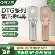 管压鼻dtg-101625355070平方铜鼻子镀锡紫铜接线端子连接头