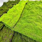 棕丝仿真青苔块草皮假苔藓鼓包摆件造景软装饰绿植墙人造草坪花艺