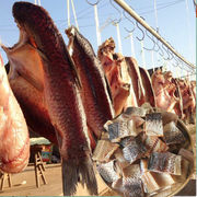 湖南湖北特产腌鱼腊鱼，咸鱼农家自制烟熏，鱼干干货腊味500g