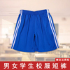 校服裤子宝蓝色两条杠夏季五分短裤运动男女，初中高中学生薄款校裤