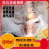 猫藓外用药真菌幼猫治疗猫癣的喷剂猫咪专用治皮肤病猫癣药浴喷雾