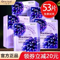 一叶子黑莓胶原蛋白，面膜补水美白保湿去黄气暗沉提拉紧致抗皱