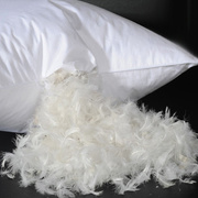 五星级酒店宾馆羽绒枕白鸭绒，鹅羽毛枕芯枕头，柔软枕头单人保健枕头