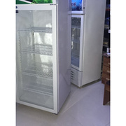 立式食品留样柜冷藏保鲜柜冷柜，玻璃门展示柜小冰箱商用展示饮料柜