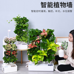 智能立体垂直绿化自动浇灌植物墙花盆塑料绿植墙面装饰绿化种植槽