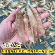 红瓜鱼胶干货豆仁胶鱼肚黄花鱼胶金龙花胶赤嘴鱼鳔非孕妇月子滋补