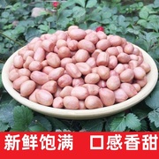 2023年新货花生米生新鲜5斤特级大粒生花生白沙花生仁榨油下酒菜