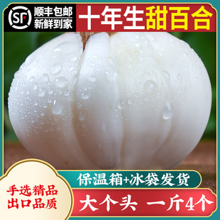 1斤4颗10年生大个头兰州新鲜甜(新鲜甜)百合，500g食用特产非百合干特级