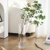 玻璃花瓶透明插鲜花，水养马醉木水培富贵竹，直筒落地客厅摆件高级感